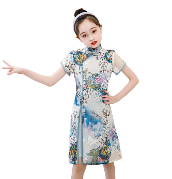 Bitablue Girl's Chinese Dragon and Phoenix Floral Dress